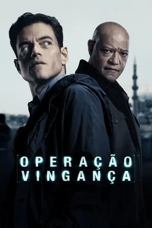 Operação Vingança