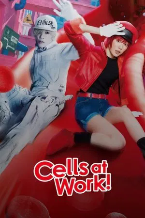 Cells at Work!